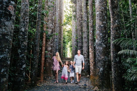 The Original Day Tour To Paronella Park, Lake Barrine And Millaa Millaa Falls - Taree Accommodation 1