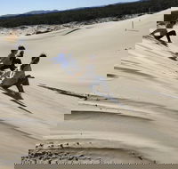 Port Stephens Bush Beach and Sand Dune 4WD Tag-Along Tour - Taree Accommodation