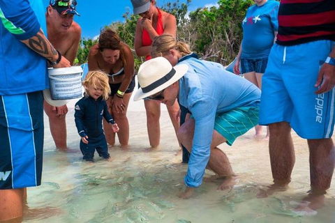 Whitehaven Beach And Hamilton Island Cruise - Taree Accommodation 1