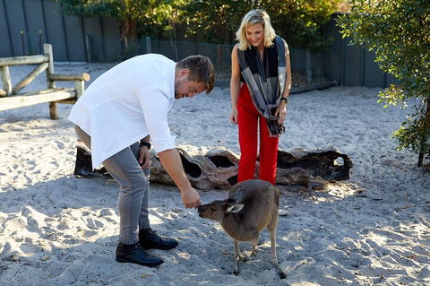 Albany's Whale Story - Taree Accommodation 1