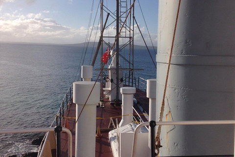 Albany's Whale Story - Taree Accommodation 2