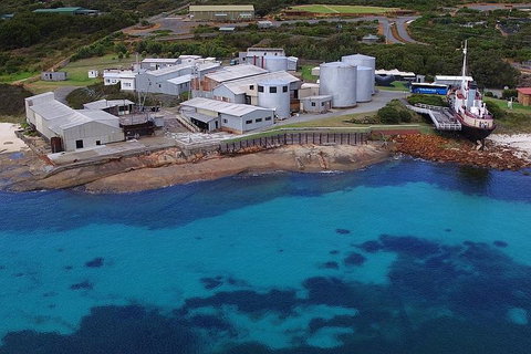 Albany's Whale Story - Taree Accommodation 4