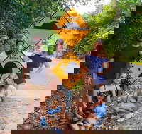 Cape Tribulation Daintree Rainforest and Wildlife Tour - Taree Accommodation