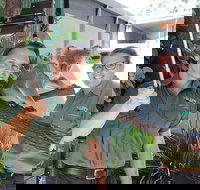 Virtual Interactive Australian Wildlife Tour With Private Guide-Wildlife Habitat - Taree Accommodation