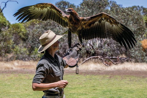 One Day Kangaroo Island Sip & See Tour With Return Ferry Transfers From Adelaide - Taree Accommodation 0