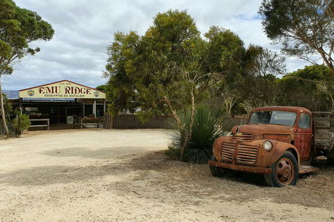 One Day Kangaroo Island Sip & See Tour With Return Ferry Transfers From Adelaide - Taree Accommodation 1