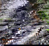 Full-Day Canyoning Experience at Stunning Empress Canyon - Taree Accommodation