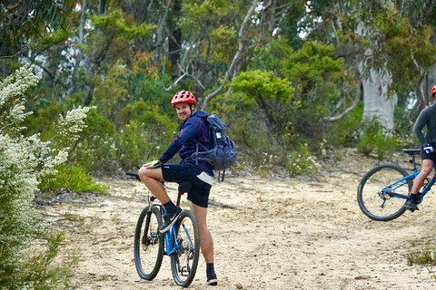 Blue Mountains Hanging Rock SELF-GUIDED Mountain Bike Hire Service - Taree Accommodation 4