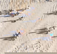 Unlimited Sandboarding - Taree Accommodation