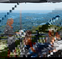 Sunshine Coast Hinterland Rainforest Views and Montville Day Tour Inc. Lunch - Taree Accommodation