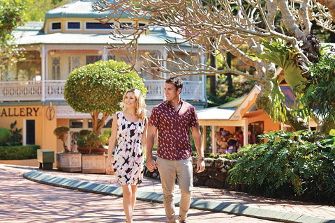 Sunshine Coast Hinterland Rainforest, Views And Montville Day Tour Inc. Lunch - Taree Accommodation 4