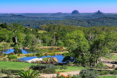 Sunshine Coast Hinterland Rainforest, Views And Montville Day Tour Inc. Lunch - Taree Accommodation 5