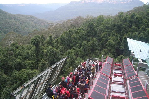 Blue Mountains Private Tour With Wildlife Park And River Cruise - Taree Accommodation 1