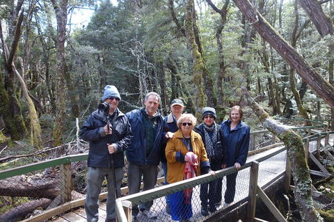 Blue Mountains Private Tour With Wildlife Park And River Cruise - Taree Accommodation 2