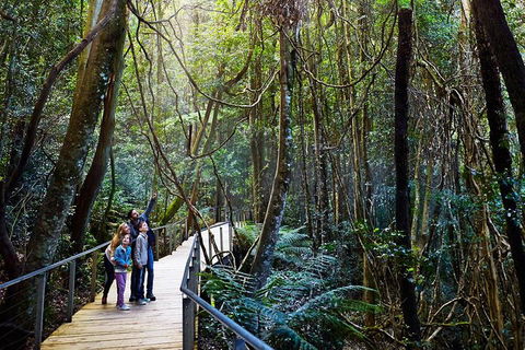 Blue Mountains Private Tour With Wildlife Park And River Cruise - Taree Accommodation 4