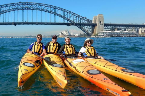 Kayak To Goat Island In Sydney Harbour With Local - Taree Accommodation 5