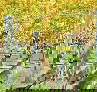 Margaret River Indulge and Discover Day Tour - Taree Accommodation