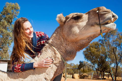 Alice Springs Camel Tour - Taree Accommodation 2