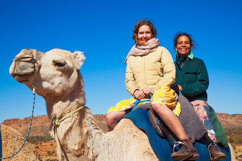 Alice Springs Camel Tour - Taree Accommodation 3