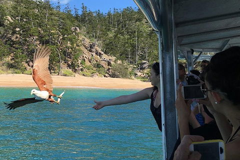 Aquascene Magnetic Island Discovery Tour - Taree Accommodation 2