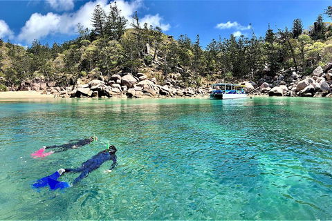 Aquascene Magnetic Island Discovery Tour - Taree Accommodation 4