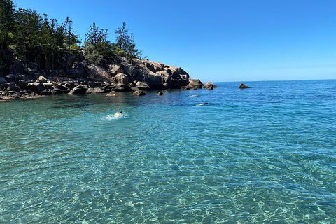 Aquascene Magnetic Island Discovery Tour - Taree Accommodation 5