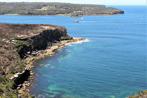 Half Day Manly Beach And More - Taree Accommodation 0