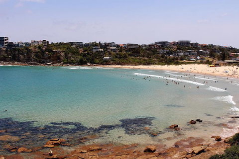 Half Day Manly Beach And More - Taree Accommodation 2