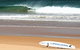 Half Day Manly Beach And More - thumb 5