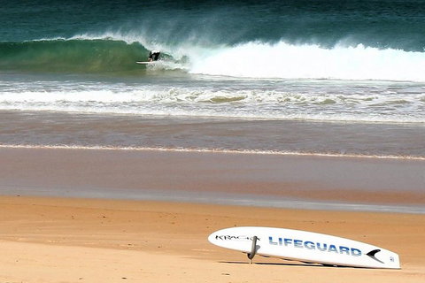 Half Day Manly Beach And More - Taree Accommodation 5