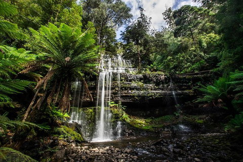 3-Day Tour To The Falls, Mountains, Lake & More Of West Coast Tasmania - Taree Accommodation 4