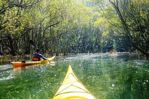 Self-Guided Sydney Middle Harbour Kayak 3 Hour Tour By Double Kayak - Taree Accommodation 3