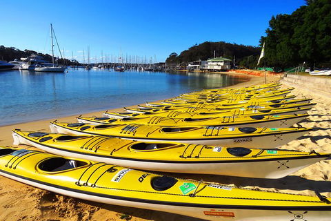 Self-Guided Sydney Middle Harbour Kayak 3 Hour Tour By Double Kayak - Taree Accommodation 4