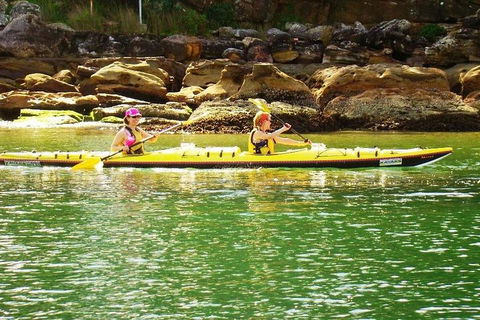 Self-Guided Sydney Middle Harbour Kayak 3 Hour Tour By Double Kayak - Taree Accommodation 5