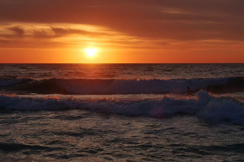 Australian Animals, Seascape And Sunset Photography Tour - Taree Accommodation 5