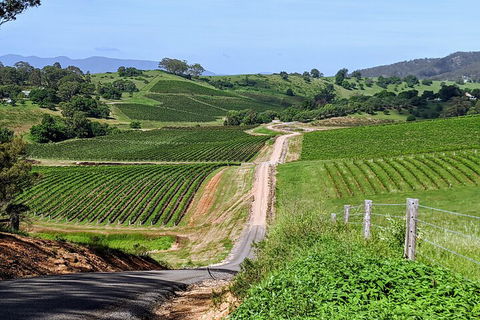 The Complete Hunter Valley Wine Tour Of Pokolbin, Mt View, Lovedale And Rothbury - Taree Accommodation 0