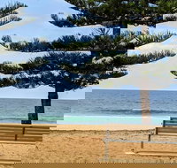 Manly  Sydney's Northern Beaches with 'Personalised Sydney Tours' - Taree Accommodation
