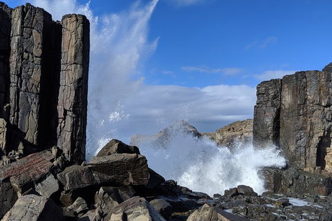 Erupting Blowholes And Ancient Rainforests With 'Personalised Sydney Tours' - Taree Accommodation 0