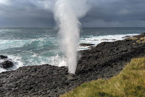 Erupting Blowholes And Ancient Rainforests With 'Personalised Sydney Tours' - Taree Accommodation 1