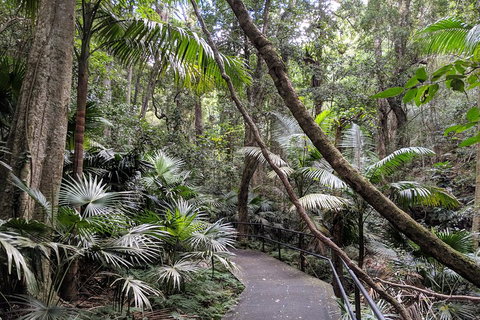 Erupting Blowholes And Ancient Rainforests With 'Personalised Sydney Tours' - Taree Accommodation 2
