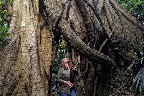 Erupting Blowholes And Ancient Rainforests With 'Personalised Sydney Tours' - Taree Accommodation 4