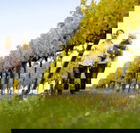 2-Day Private Daylesford  Macedon Ranges Gourmet Food Trail Tour from Melbourne - Taree Accommodation