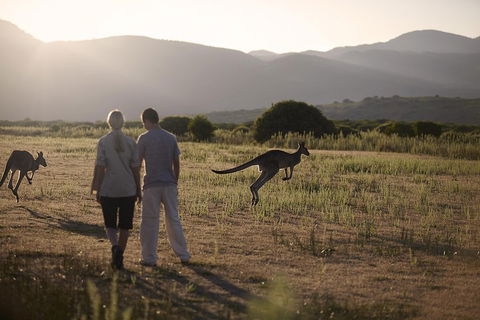 Overnight Daylesford And Macedon Ranges Gourmet Food Trail Tour From Melbourne - Taree Accommodation 1