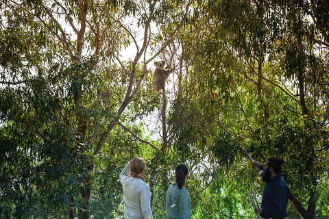 LGBT+ Friendly 3 Day Tour The Grampians, Daylesford & Ballarat - Taree Accommodation 4