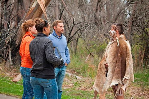 Blue Mountains Tour From Sydney With An Aboriginal Experience - Taree Accommodation 3