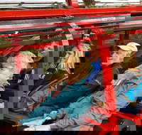 Blue Mountains Ultimate One-Day Tour - Taree Accommodation