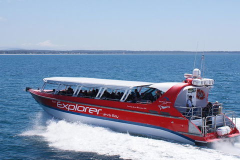 Whale Watching Jervis Bay - Taree Accommodation 1