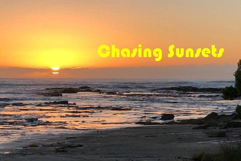 Triumph Street Scrambler 900cc - Taree Accommodation 2