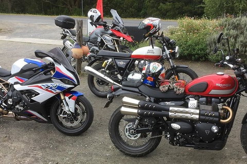 Triumph Street Scrambler 900cc - Taree Accommodation 4