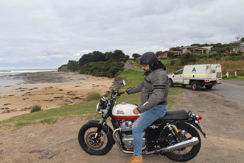 Royal Enfield Interceptor 650cc - Taree Accommodation 3